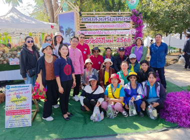 โครงการศึกษาดูงาน ... พารามิเตอร์รูปภาพ 17